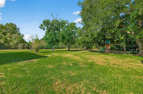 a view of a park with large trees