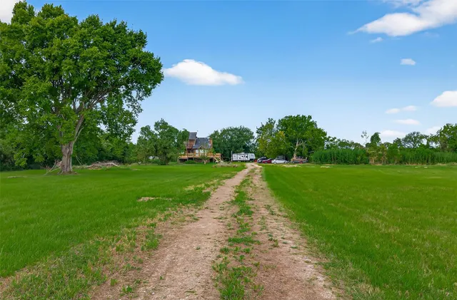 a view of a park with large trees