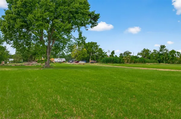 a view of field with grass and trees
