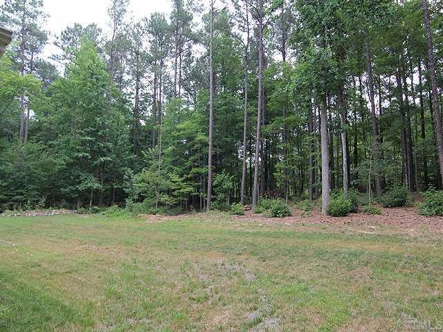 6820 Cool Pond Road Raleigh, NC 27613 - Photo 10 of 12 a view of outdoor space with trees all around