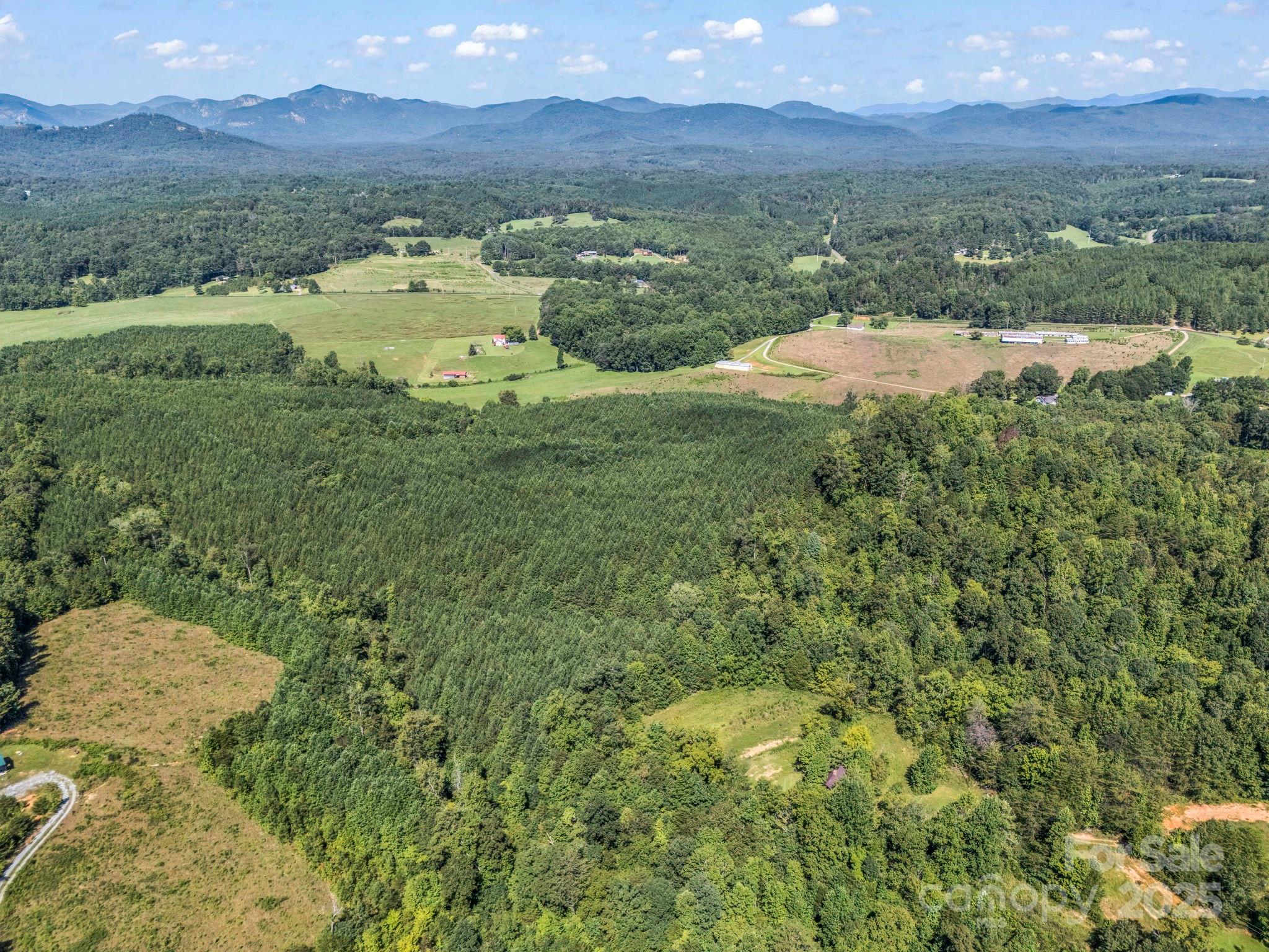 83.67-acres Pleasant Grove Road Rutherfordton, NC 28139 - Photo 11 of 40 a view of lake with mountain