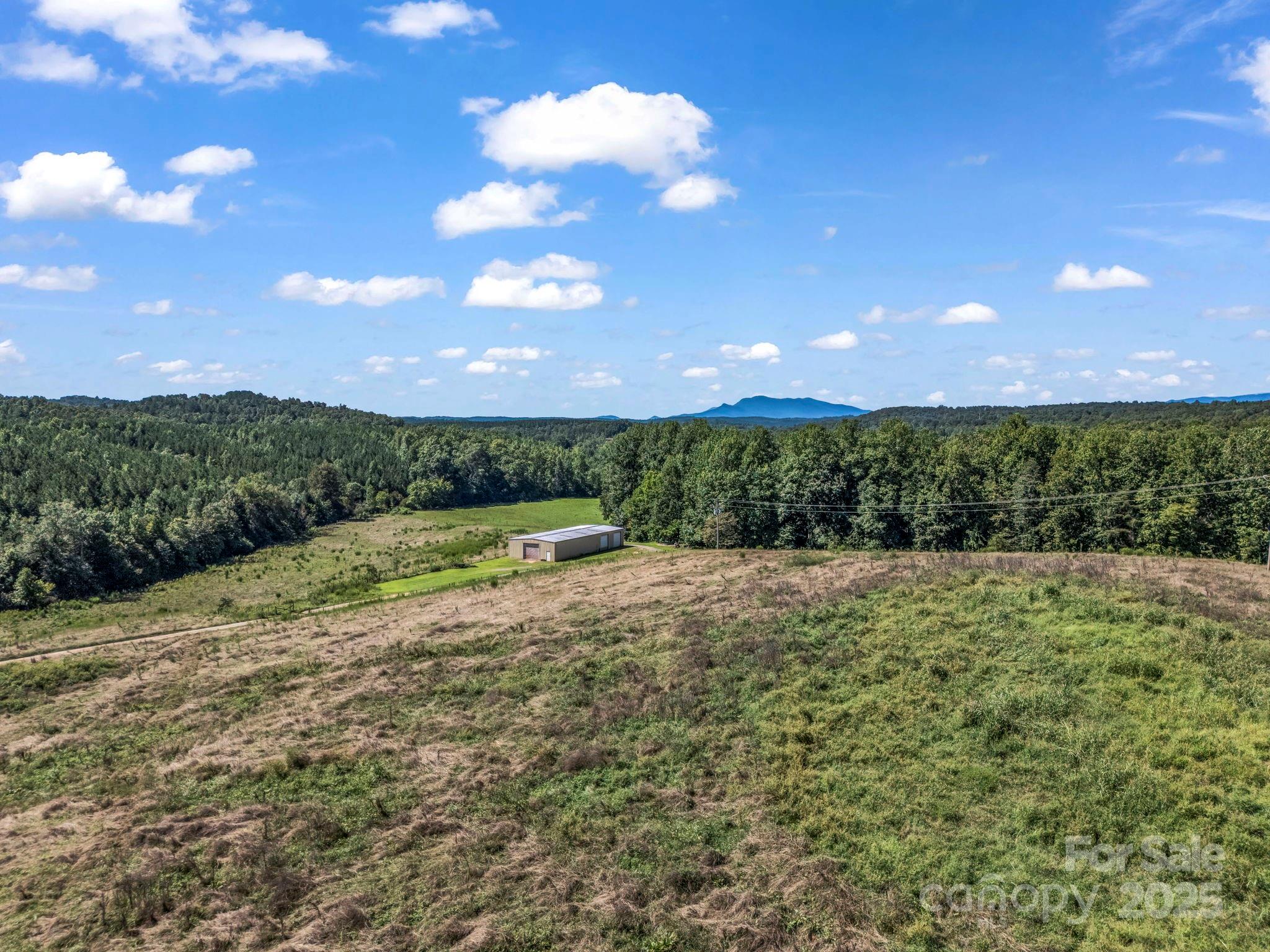83.67-acres Pleasant Grove Road Rutherfordton, NC 28139 - Photo 14 of 40 a view of a big yard with large trees