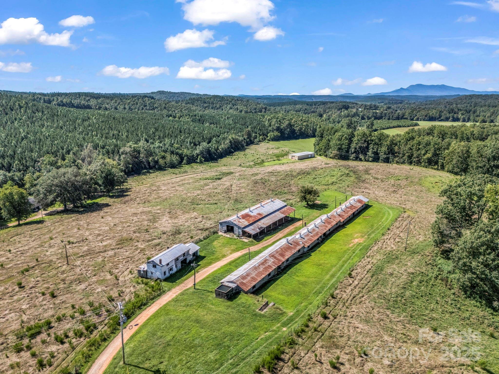 83.67-acres Pleasant Grove Road Rutherfordton, NC 28139 - Photo 15 of 40 a view of a yard with an ocean
