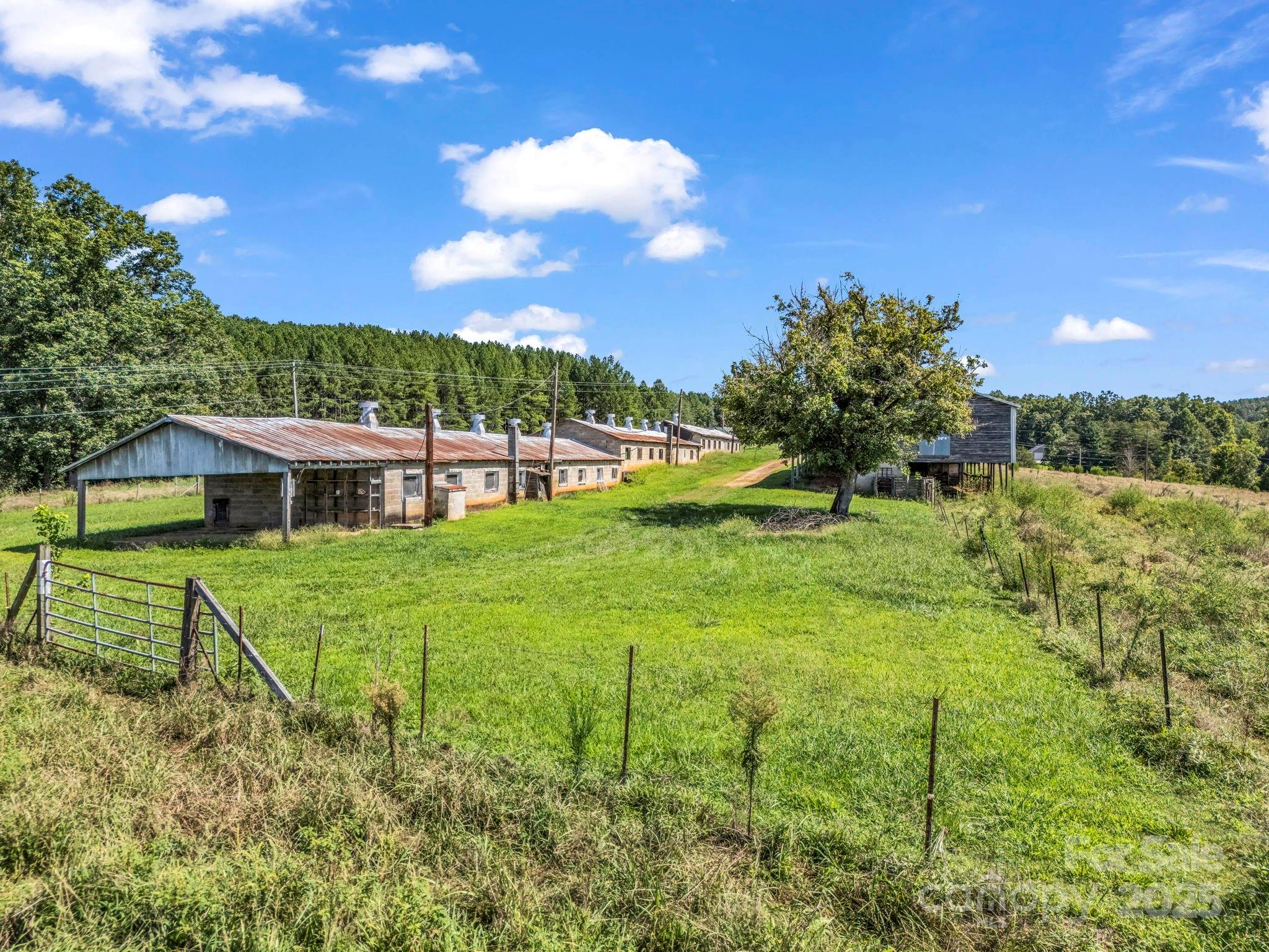 83.67-acres Pleasant Grove Road Rutherfordton, NC 28139 - Photo 16 of 40 a view of a house with a big yard