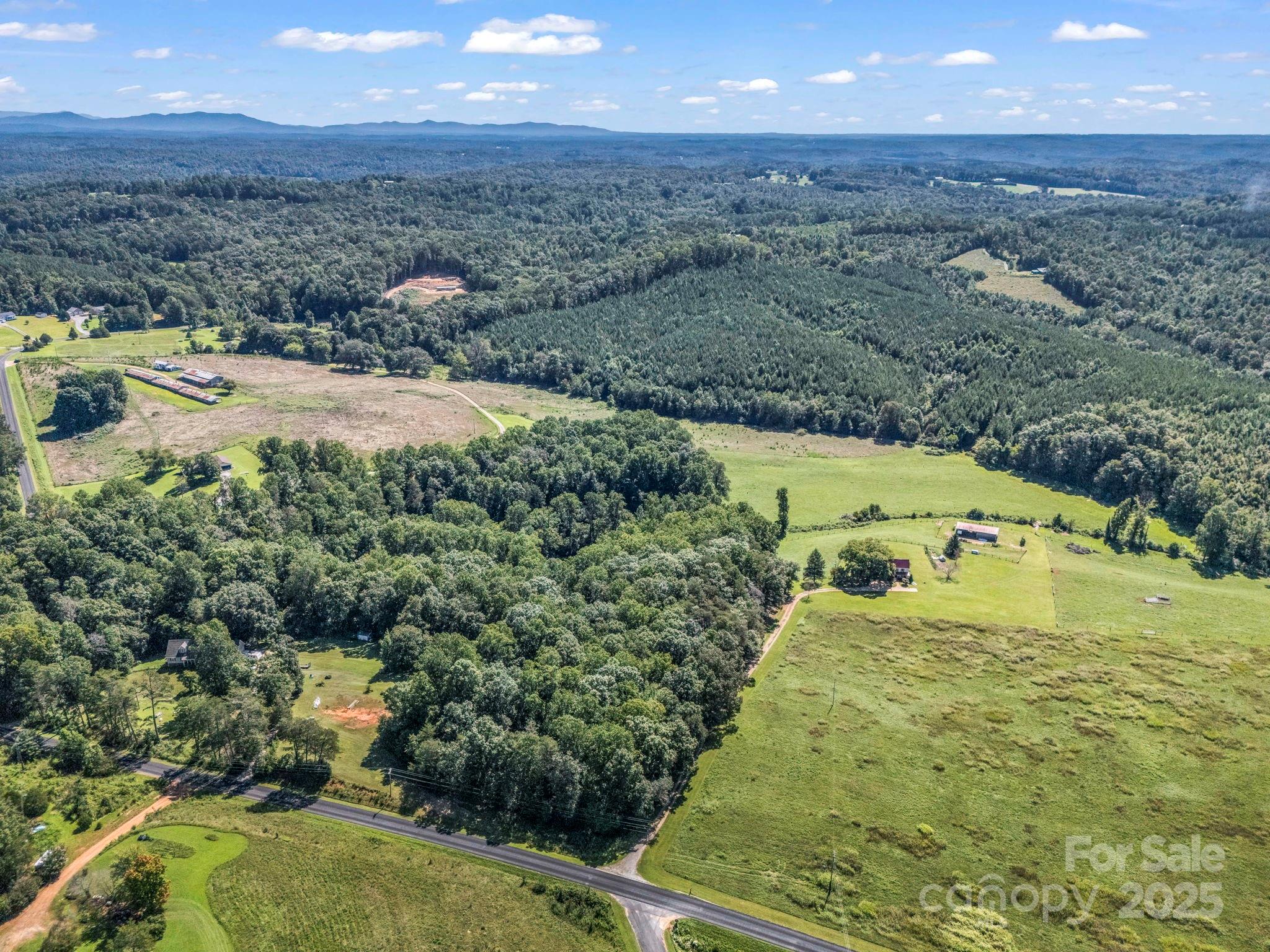 83.67-acres Pleasant Grove Road Rutherfordton, NC 28139 - Photo 24 of 40 a view of a yard with an outdoor space