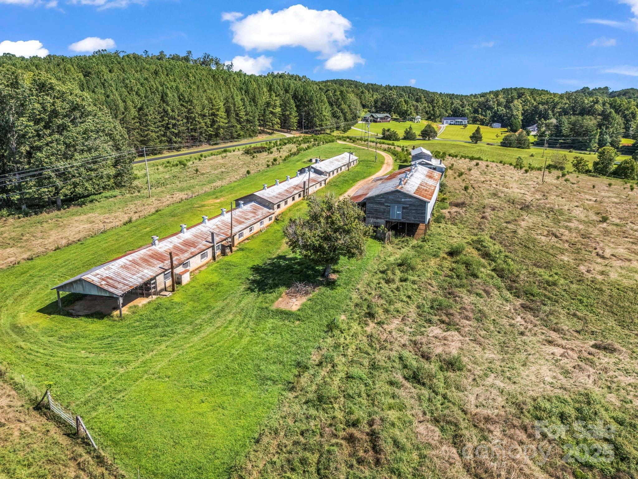 83.67-acres Pleasant Grove Road Rutherfordton, NC 28139 - Photo 28 of 40 a view of a garden and swimming pool