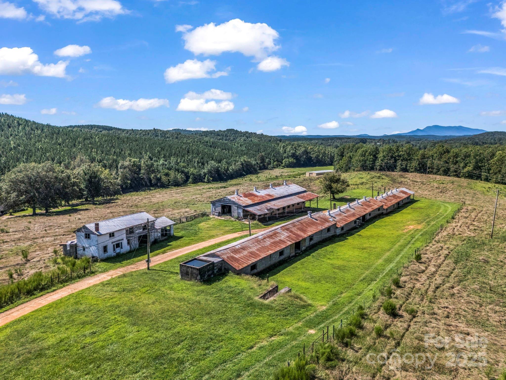 83.67-acres Pleasant Grove Road Rutherfordton, NC 28139 - Photo 31 of 40 a view of an outdoor space yard and mountain