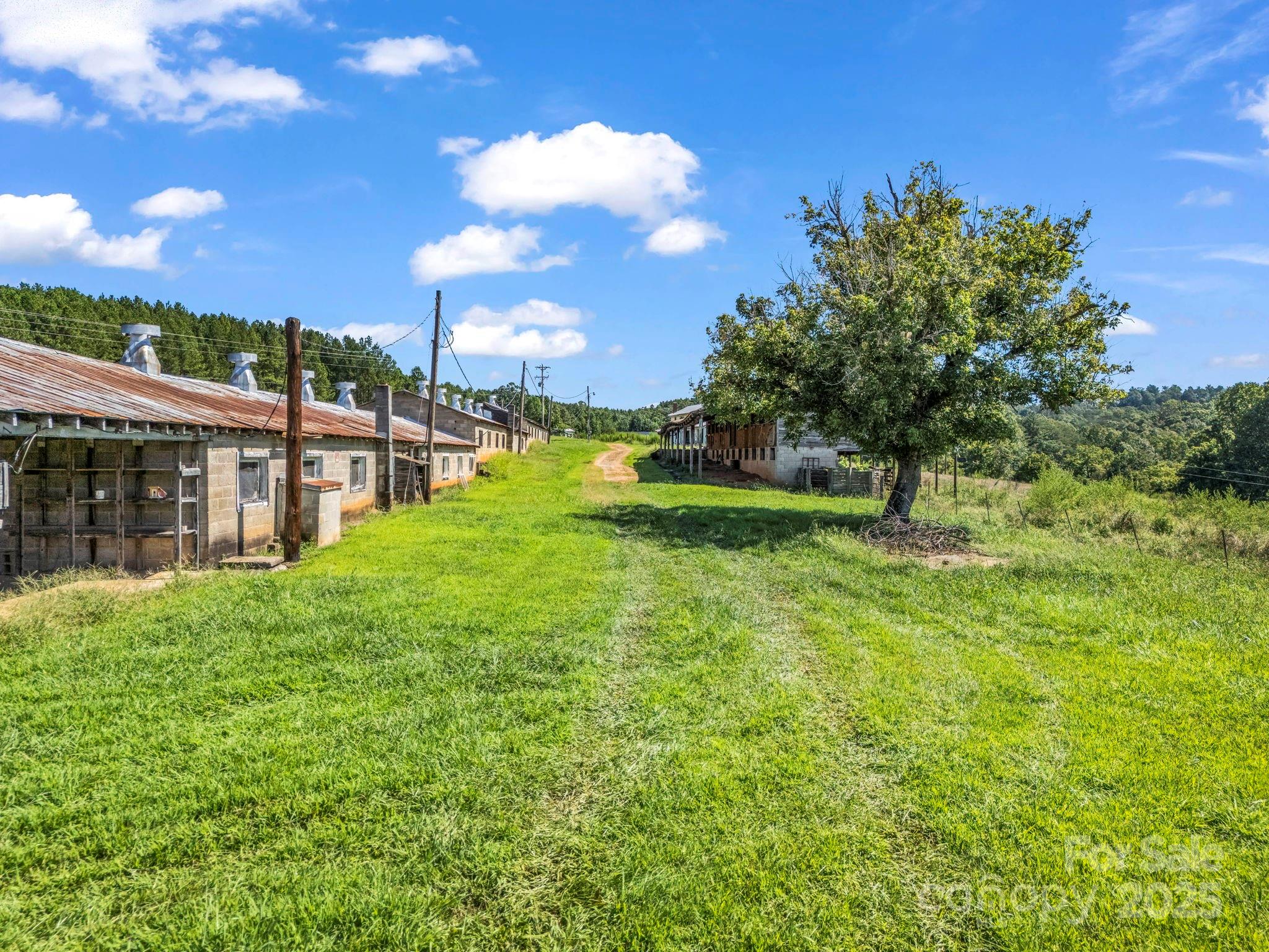 83.67-acres Pleasant Grove Road Rutherfordton, NC 28139 - Photo 33 of 40 a view of a house with a yard