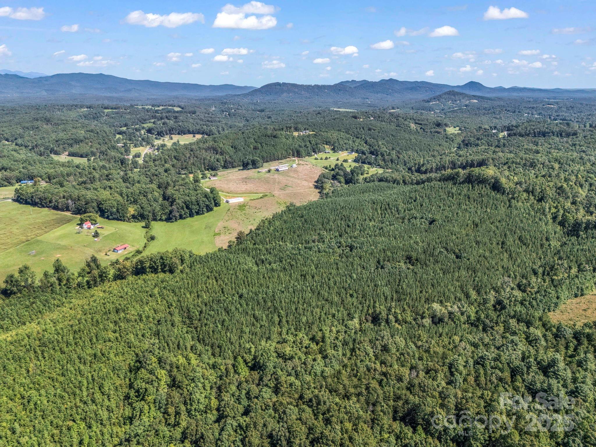 83.67-acres Pleasant Grove Road Rutherfordton, NC 28139 - Photo 38 of 40 a view of a lush green forest with lots of trees
