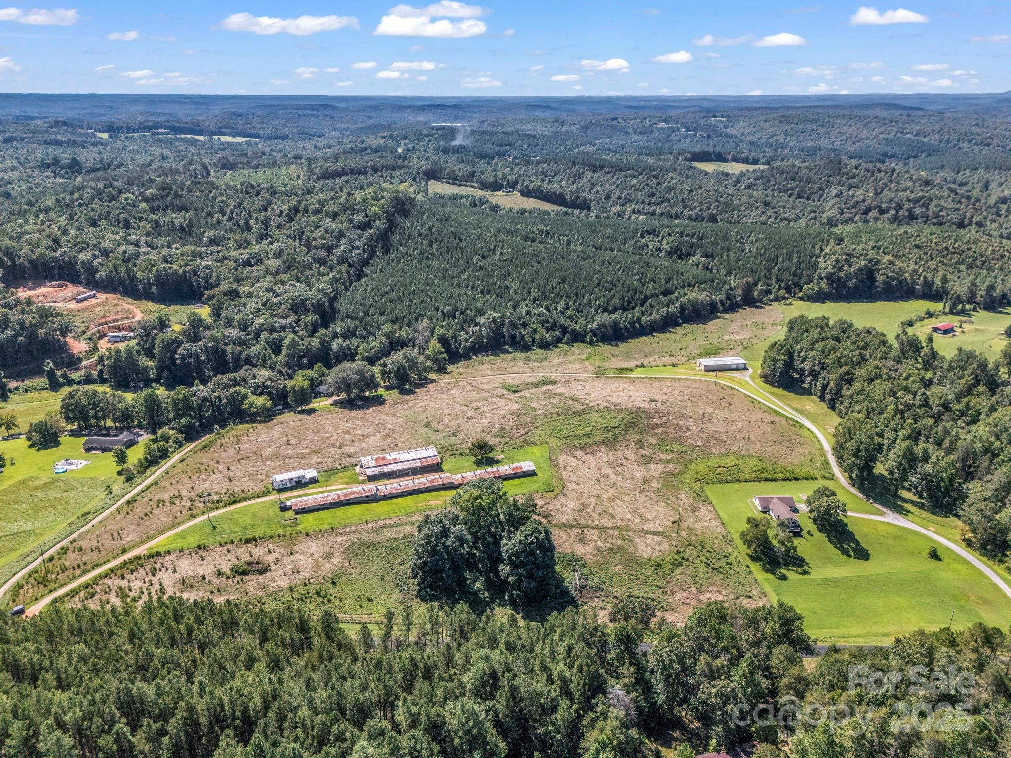 83.67-acres Pleasant Grove Road Rutherfordton, NC 28139 - Photo 4 of 40 a view of a yard with an outdoor space