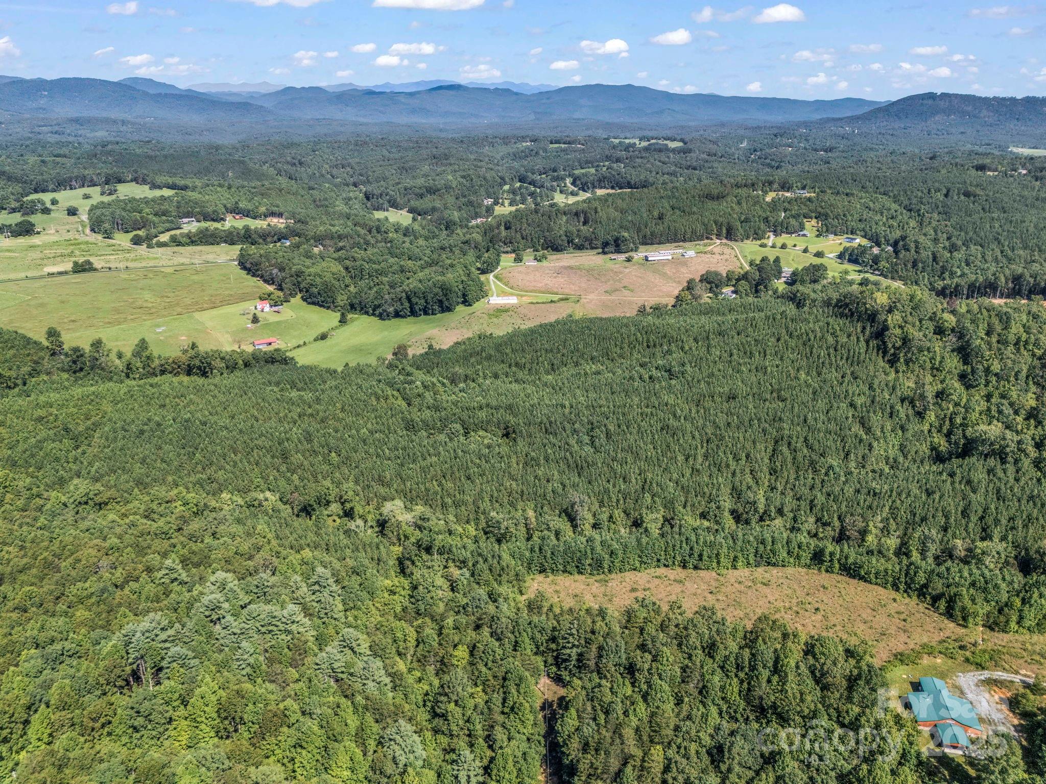 83.67-acres Pleasant Grove Road Rutherfordton, NC 28139 - Photo 5 of 40 a view of lake with mountain
