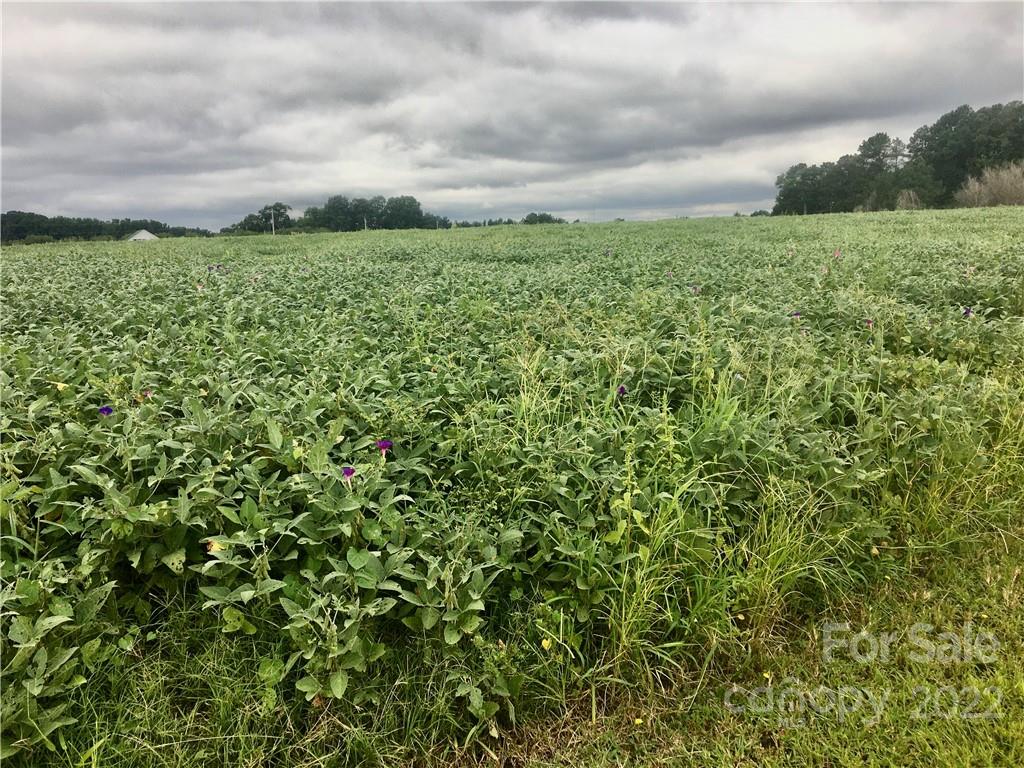 12292 Mission Church Road Locust, NC 28097 - Photo 3 of 4 a view of a big yard with plants and a garden