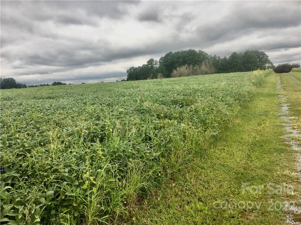 12292 Mission Church Road Locust, NC 28097 - Photo 4 of 4 a view of a yard with an outdoor space