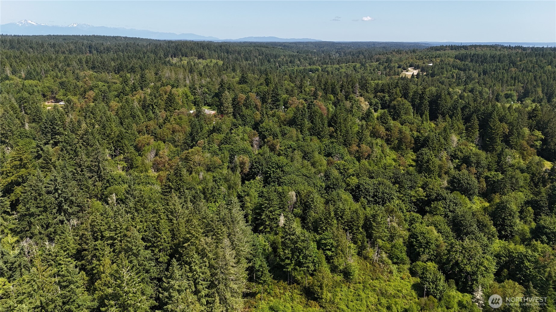 19789 Erickson Road Southwest Longbranch, WA 98349 - Photo 4 of 17 an aerial view of residential houses with outdoor space and trees