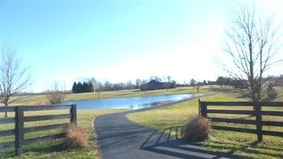 1214 Waddy Road Waddy, KY 40076 - Photo 5 of 49 Photo 5