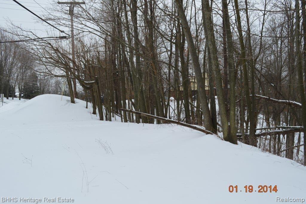 0 Murray Hill Road Hartland, MI 48353 - Photo 6 of 7 27389.jpg