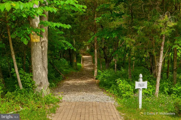 a pathway of a park