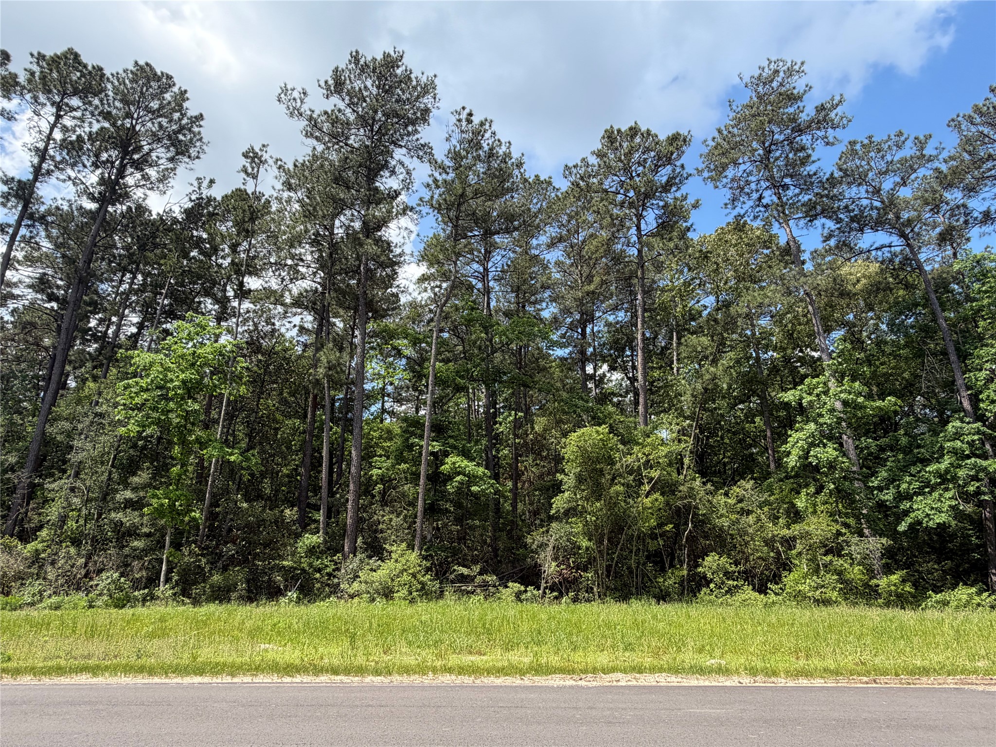 15744 Ridge Oak Road Willis, TX 77378 - Photo 2 of 7