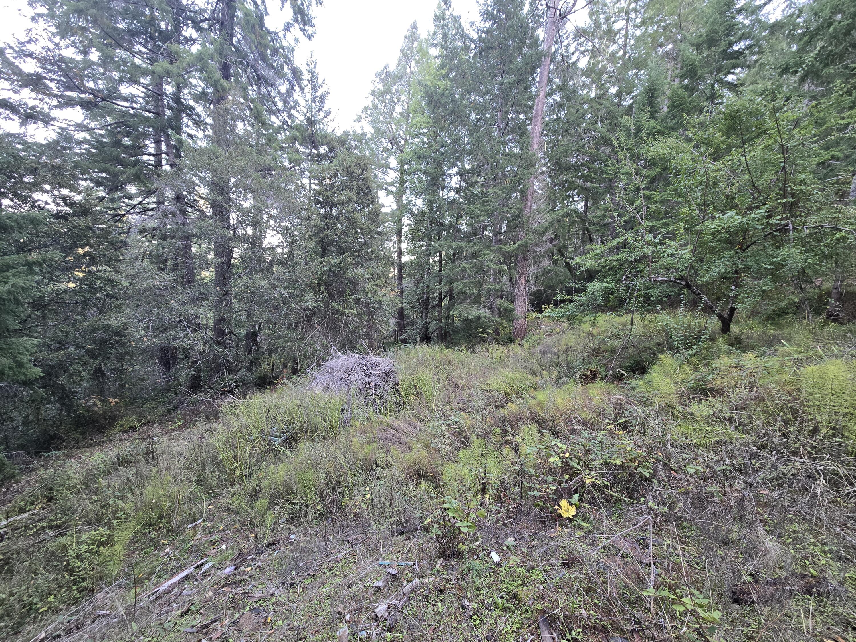 967-1141 Shop Road Redway, CA 95560 - Photo 8 of 23