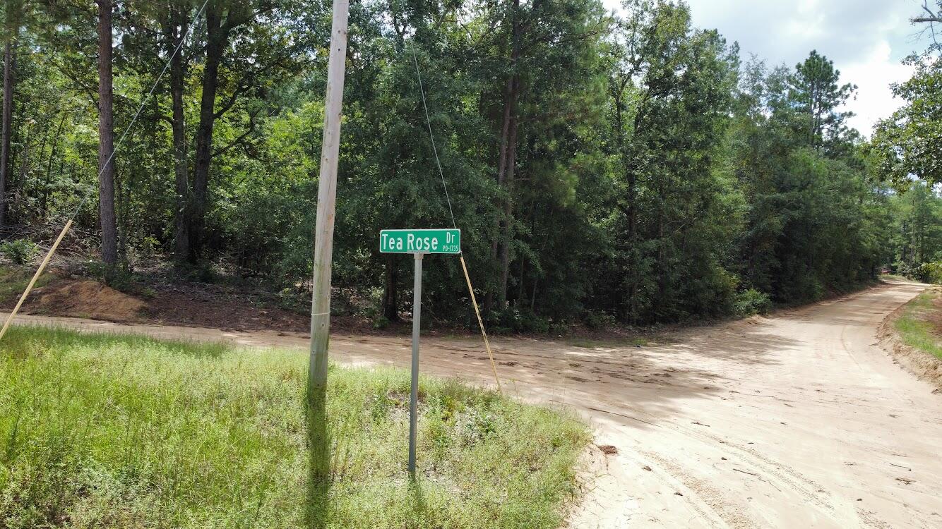 0 Chavous Road Aiken, SC 29803 - Photo 7 of 7