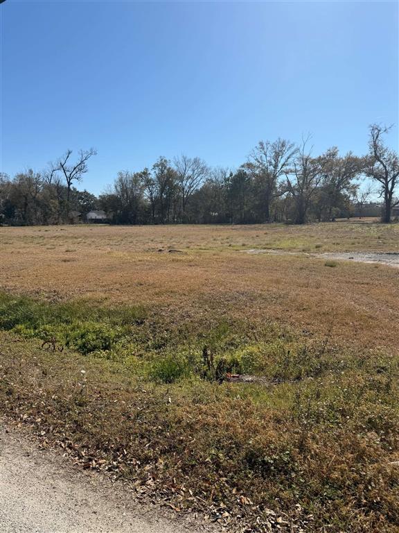 201 West Roddam Street Sulphur, LA 70663 - Photo 2 of 3
