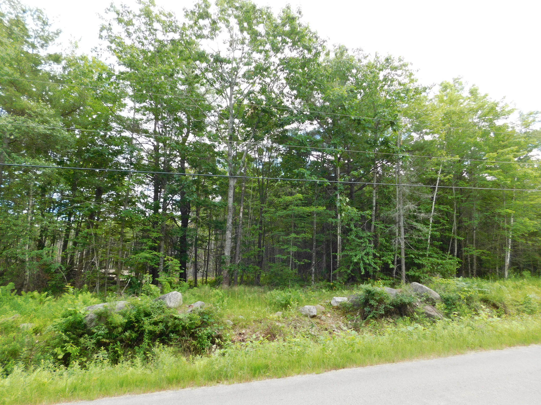 Lot 2 Old Belfast Road Frankfort, ME 04438 - Photo 5 of 9 5 (1)