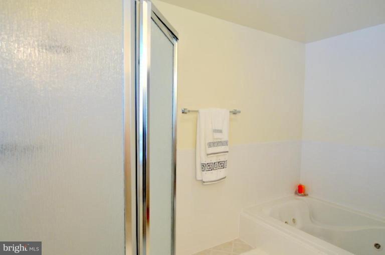 11820 Riding Loop Terrace North Potomac, MD 20878 - Photo 10 of 23 Master Bath