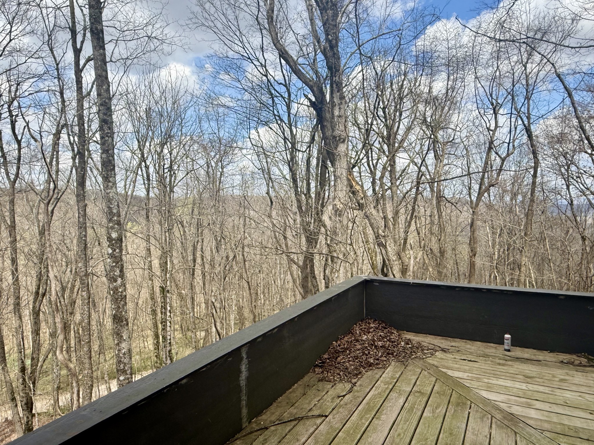 3174 Gap Road Altamont, TN 37301 - Photo 12 of 29