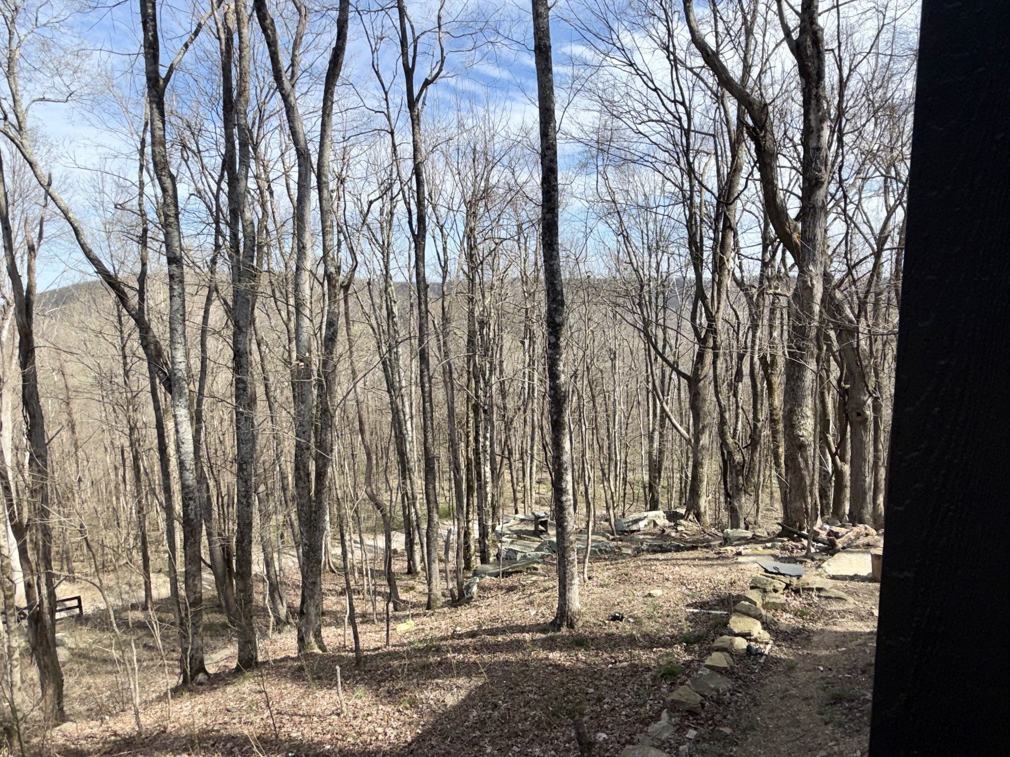 3174 Gap Road Altamont, TN 37301 - Photo 24 of 29