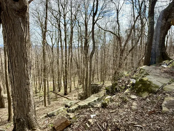 a view of a backyard of the house
