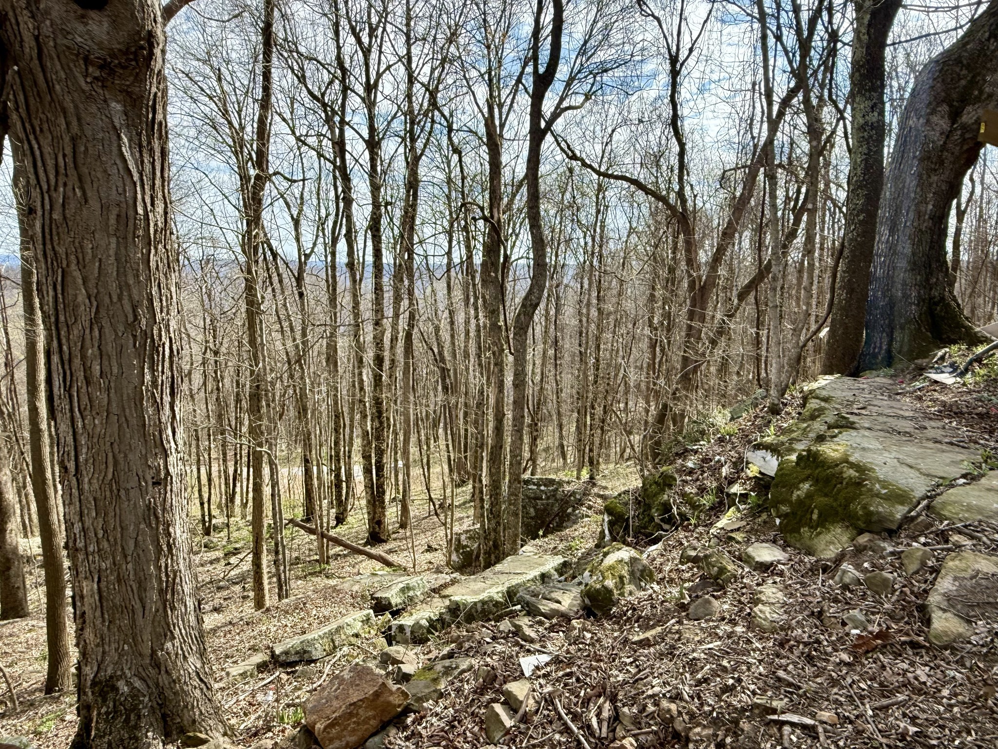 3174 Gap Road Altamont, TN 37301 - Photo 25 of 29