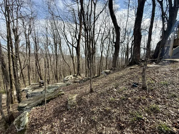 a view of outdoor space with lots of trees
