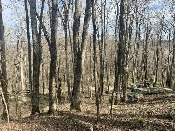 a view of backyard with green space