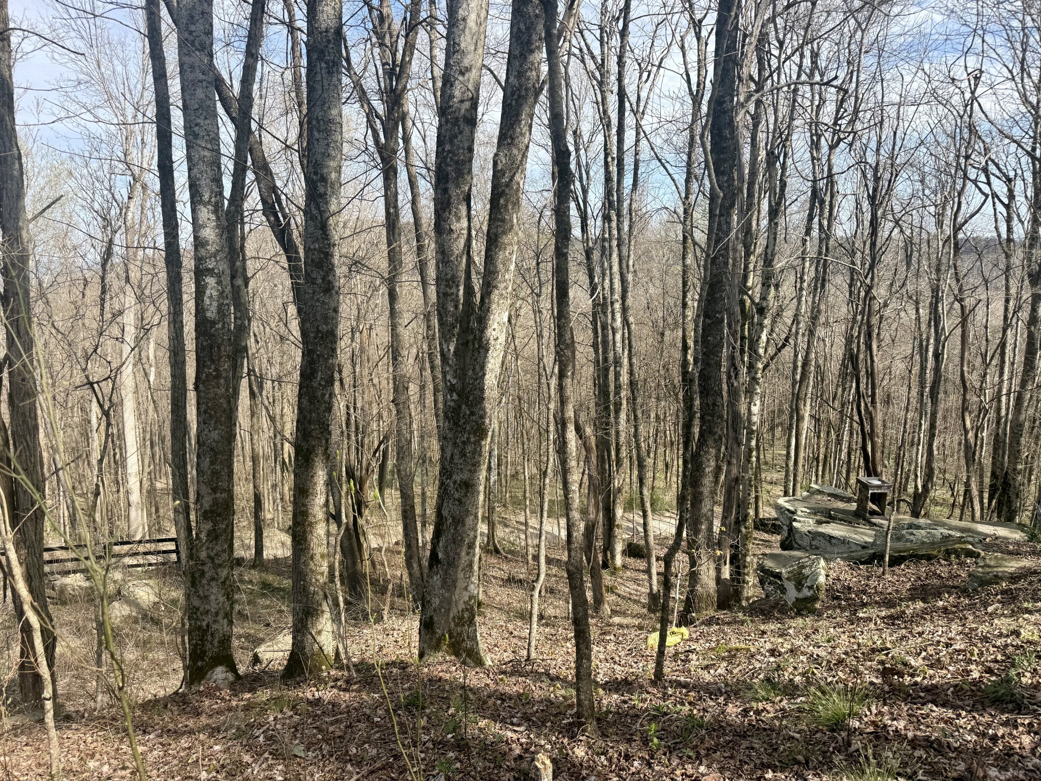 3174 Gap Road Altamont, TN 37301 - Photo 27 of 29