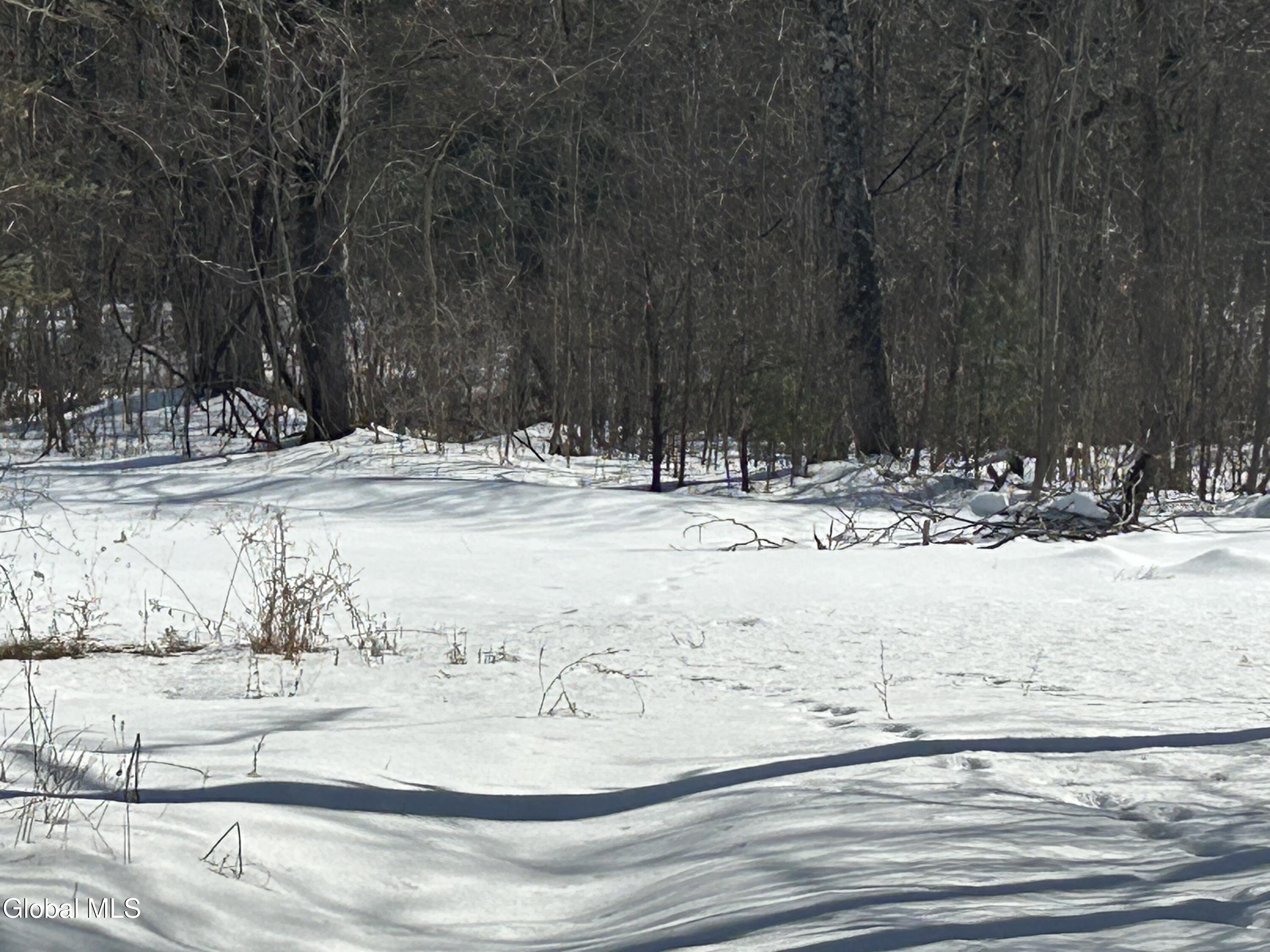 610 Liddle Harris Road Putnam, NY 12861 - Photo 6 of 11 IMG_0440