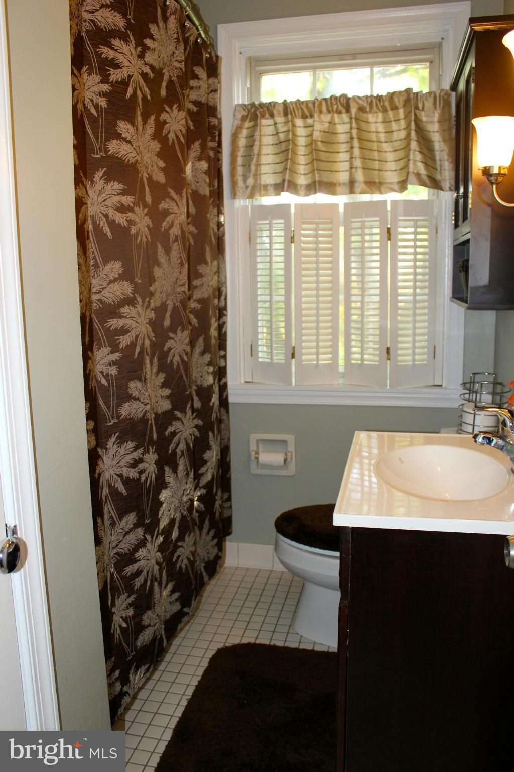 338 Dumbarton Road Baltimore, MD 21212 - Photo 19 of 30 a bathroom with a sink and a window