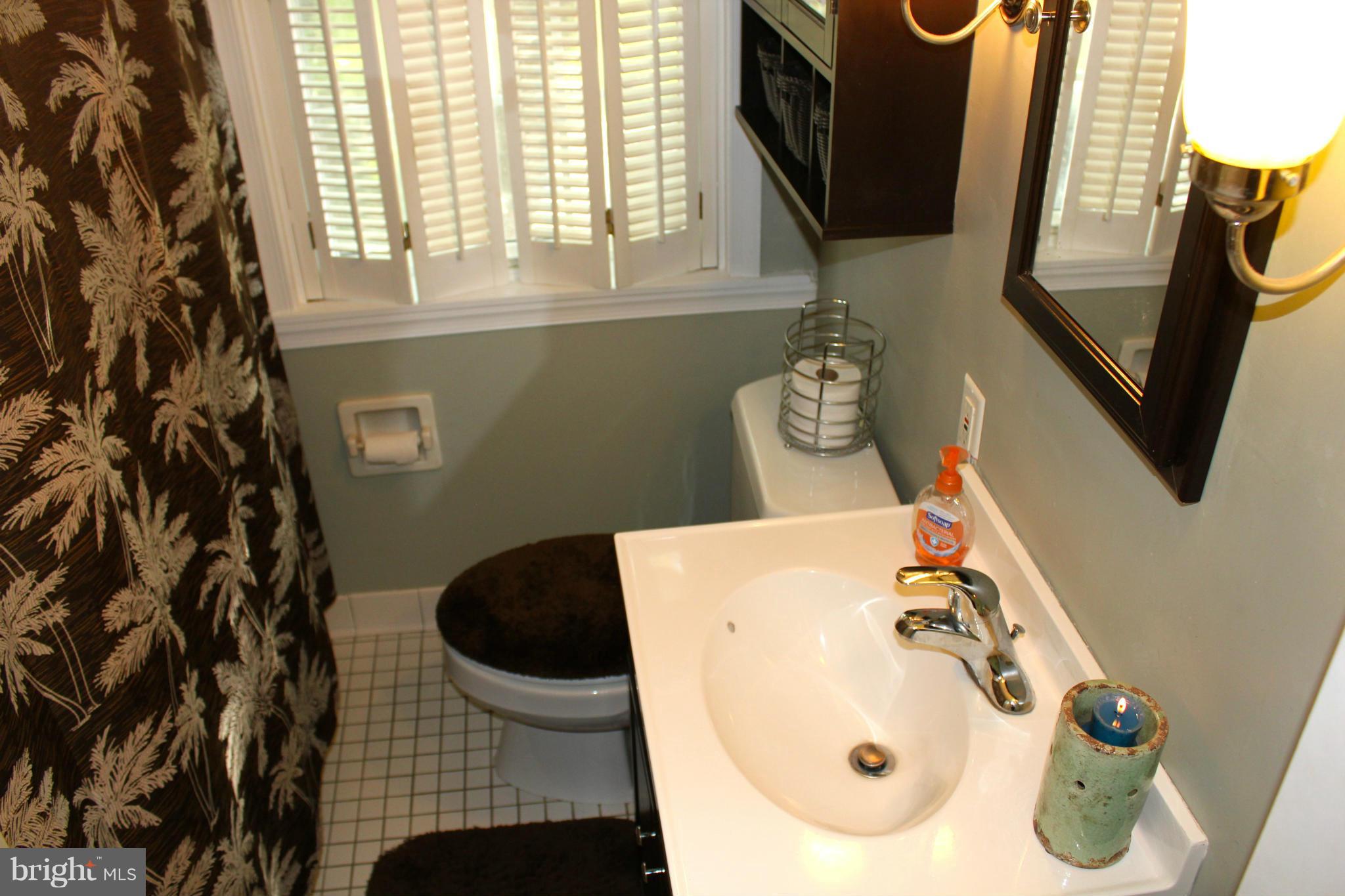 338 Dumbarton Road Baltimore, MD 21212 - Photo 20 of 30 a bathroom with a sink and mirror