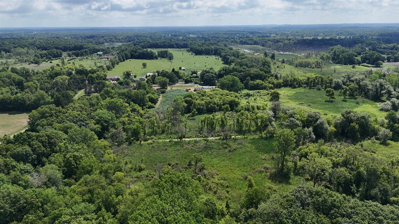 9500 North Meridian Road Pleasant Lake, MI 49272 - Photo 40 of 61