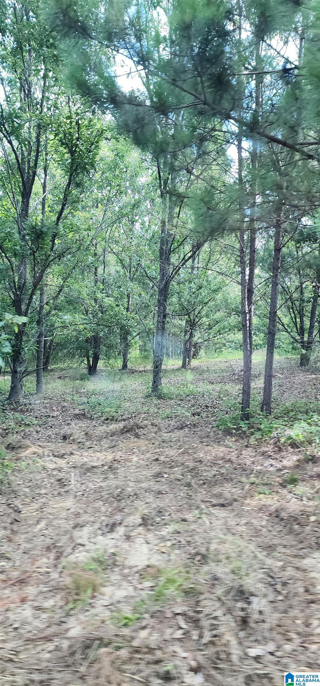 3606 Hicks Road Oneonta, AL 35121 - Photo 59 of 61