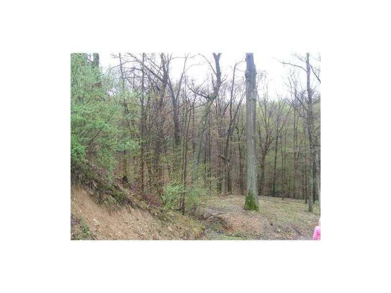 1276 West Lancaster Road Harmony, PA 16037 - Photo 19 of 21 Land.