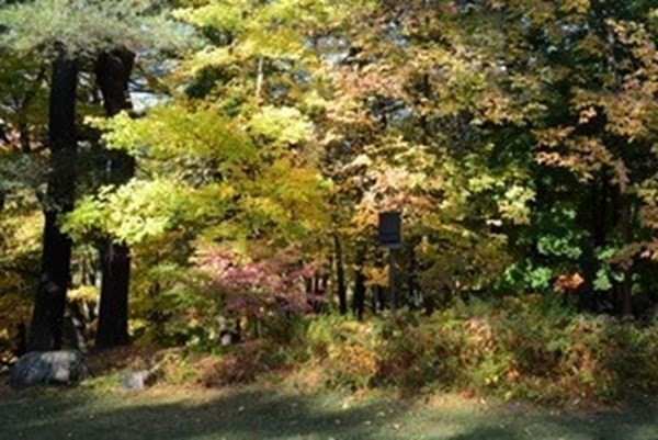 451 Strawberry Hill Road Concord, MA 01742 - Photo 36 of 41 Gallery Image 36