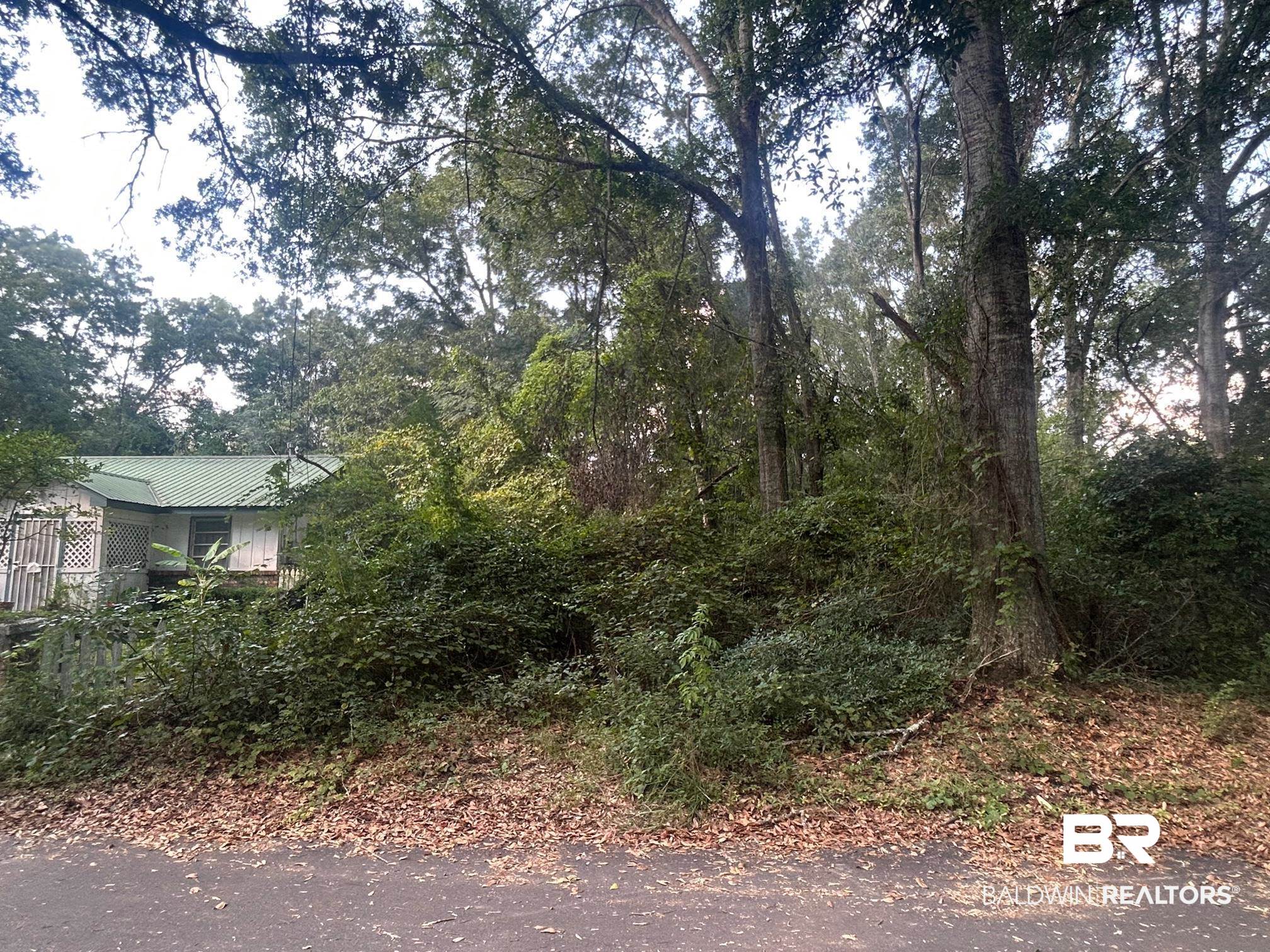 0 1st Street Mobile, AL 36608 - Photo 2 of 5 Exterior space