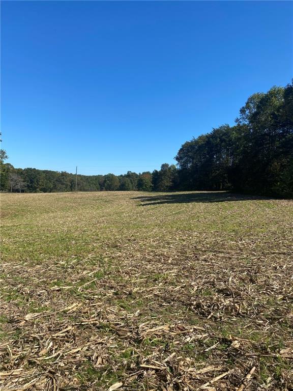 0 Bryant Road Mount Airy, NC 27030 - Photo 2 of 4 Gallery Image 2