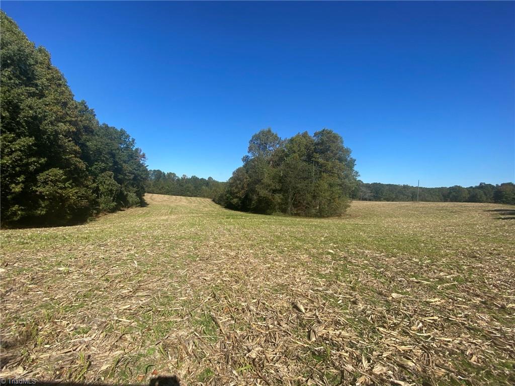 0 Bryant Road Mount Airy, NC 27030 - Photo 3 of 4 Gallery Image 3