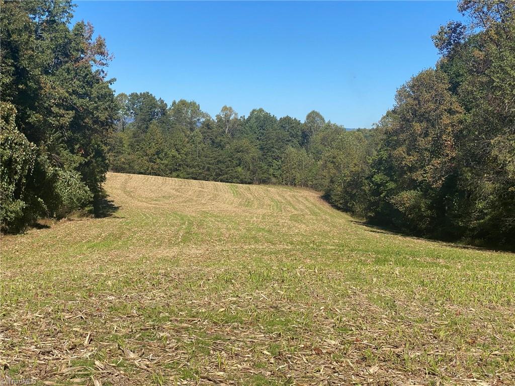 0 Bryant Road Mount Airy, NC 27030 - Photo 4 of 4 Gallery Image 4
