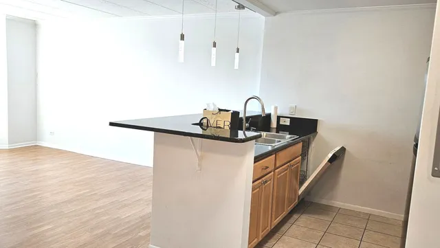 $1,550 | 1 One Renaissance Place, Unit 320, Palatine, IL 60067