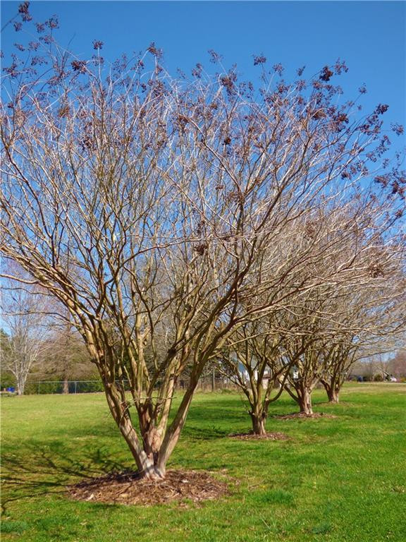 5511 Fieldview Road Mebane, NC 27302 - Photo 7 of 35 Photo 7