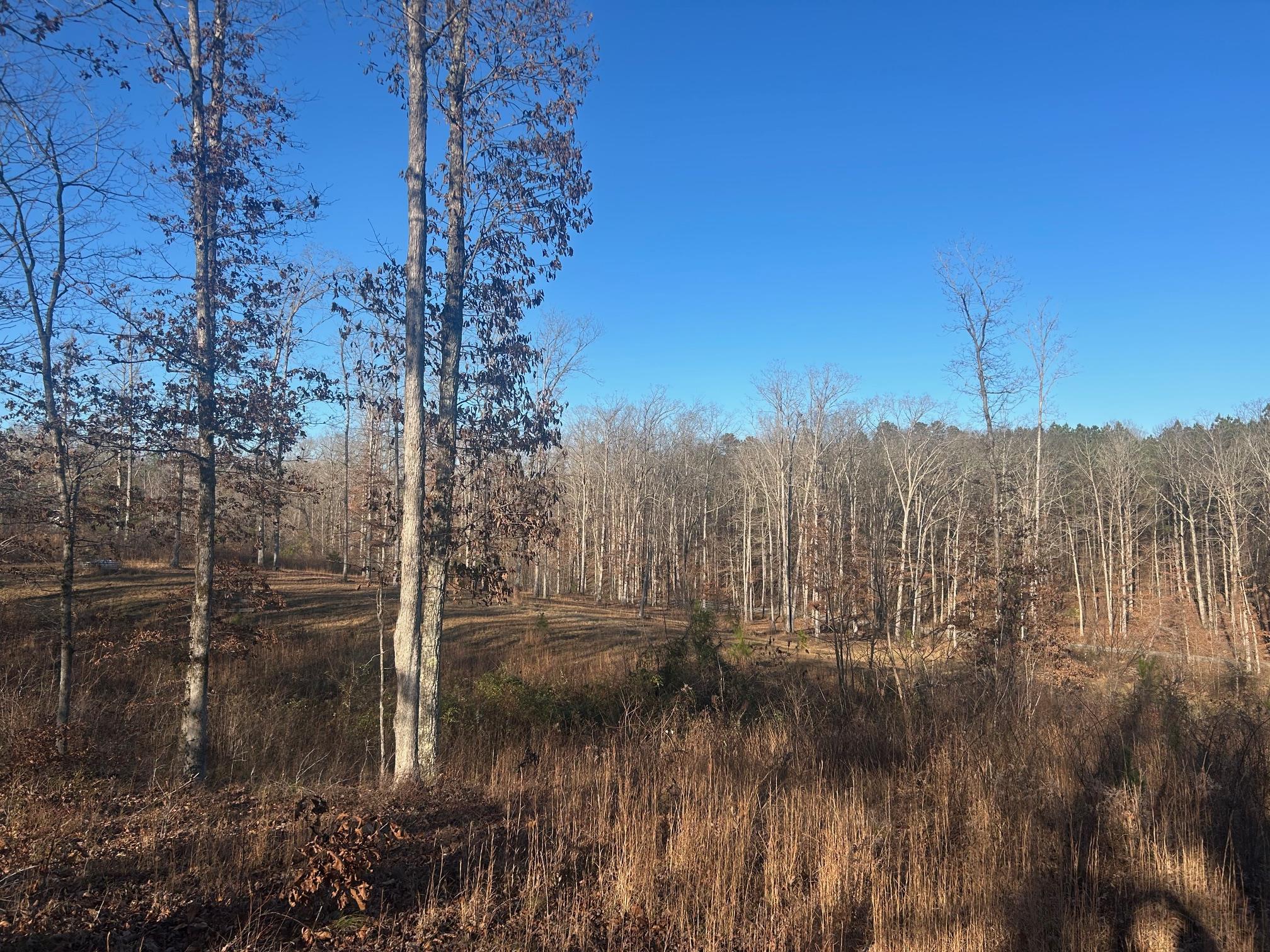 a view of river covered by trees and buildings
