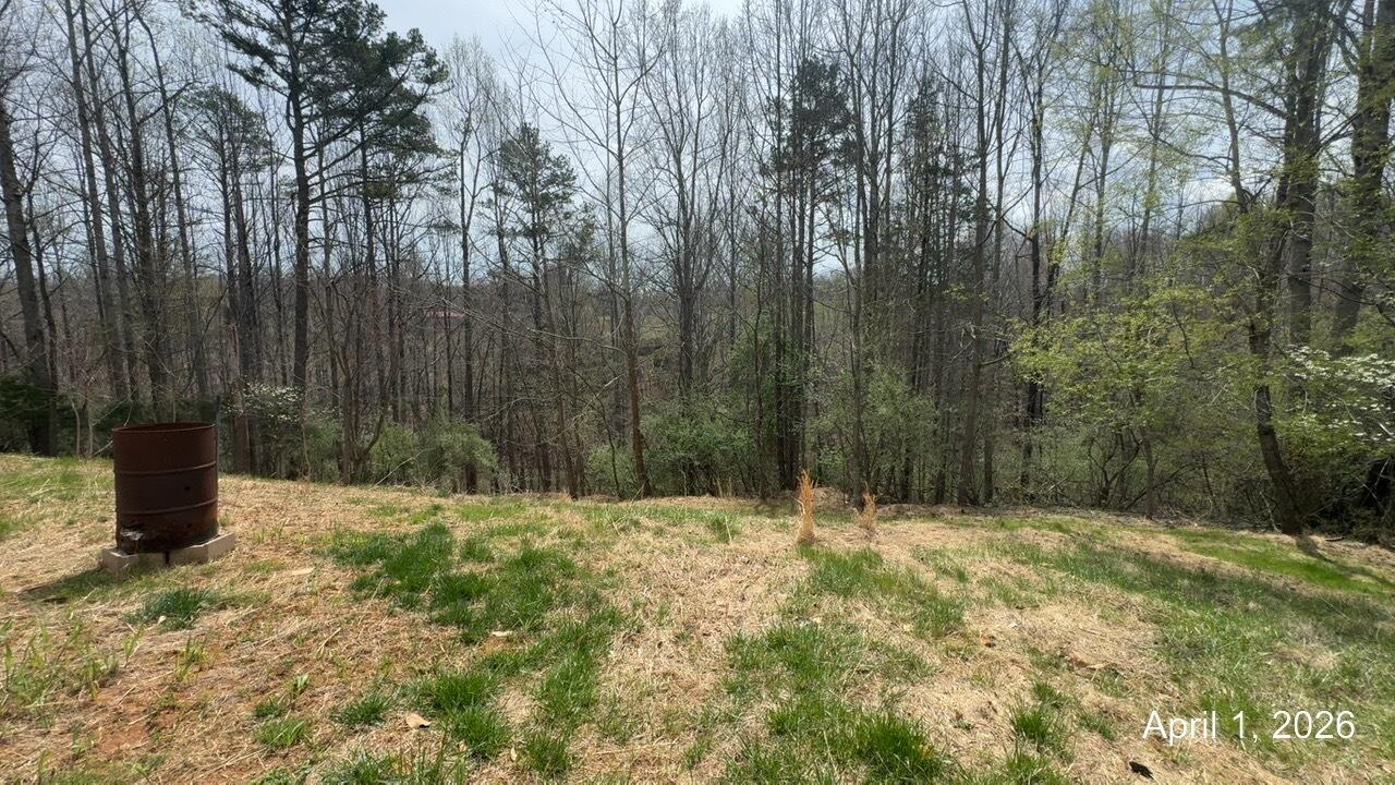 108 Cherokee Lane Thaxton, VA 24174 - Photo 12 of 15 a fire hydrant in the middle of a field
