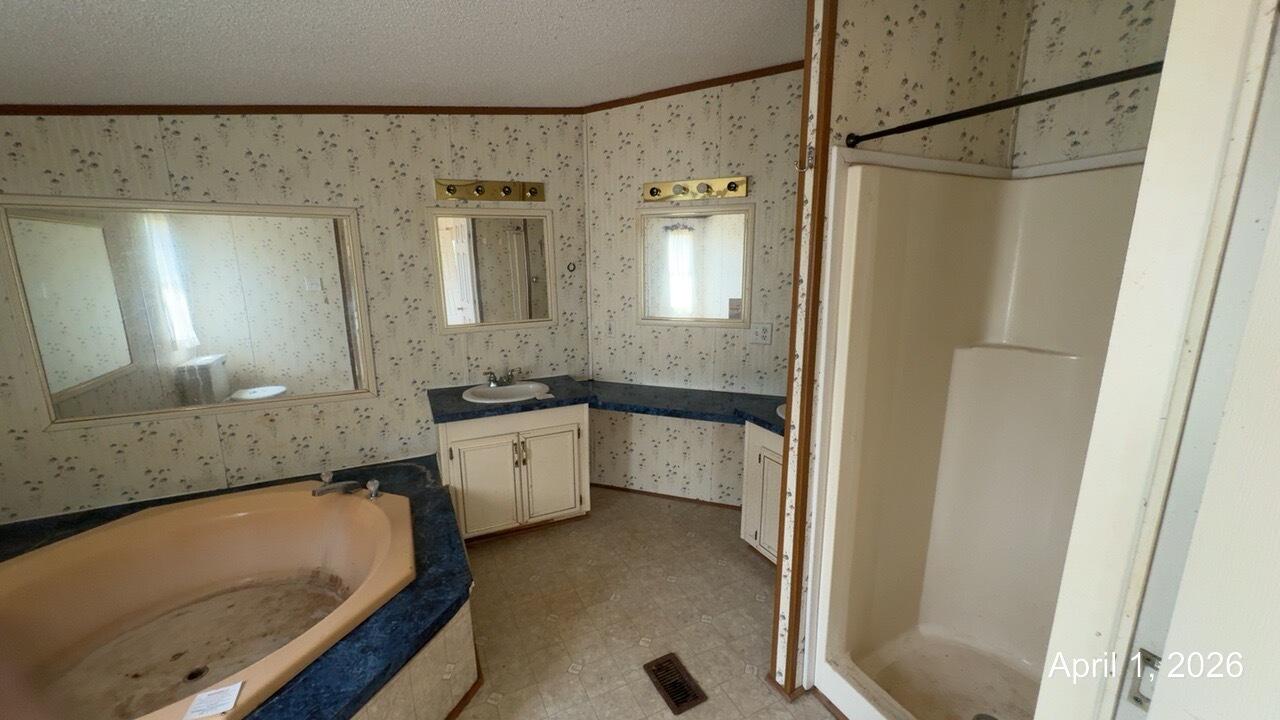 108 Cherokee Lane Thaxton, VA 24174 - Photo 6 of 15 a bathroom with a tub a sink and a large mirror